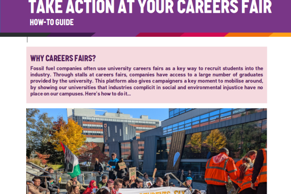 Screengrab of resource