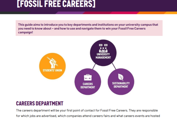 Screengrab of resource