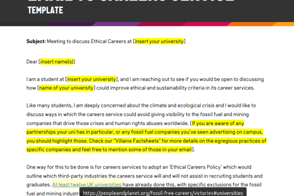 Screengrab of template